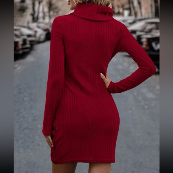 Classic Long Sleeve Cowl Neck Knot Side Wrap Hem Ribbed Dress - Picture 2 of 16